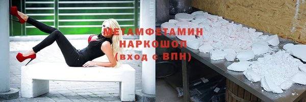 прущие грибы Балабаново