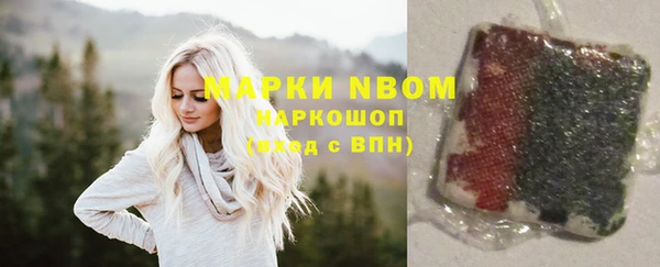 прущие грибы Балабаново