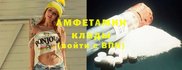 прущие грибы Балабаново