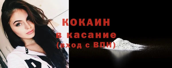 прущие грибы Балабаново
