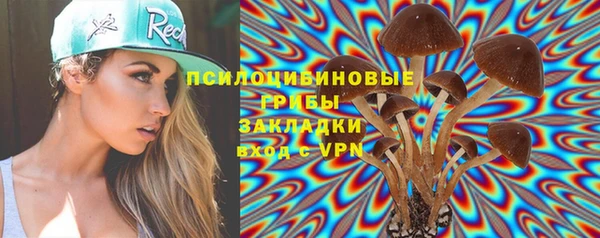 прущие грибы Балабаново