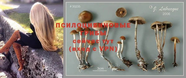 ALPHA PVP Балахна
