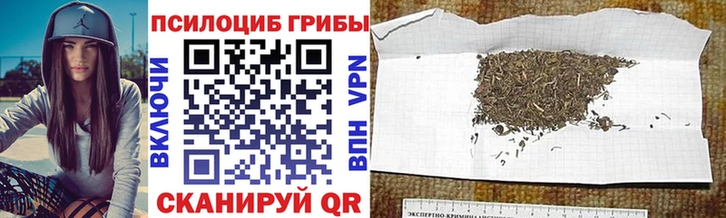 Галлюциногенные грибы Cubensis  Красный Холм 